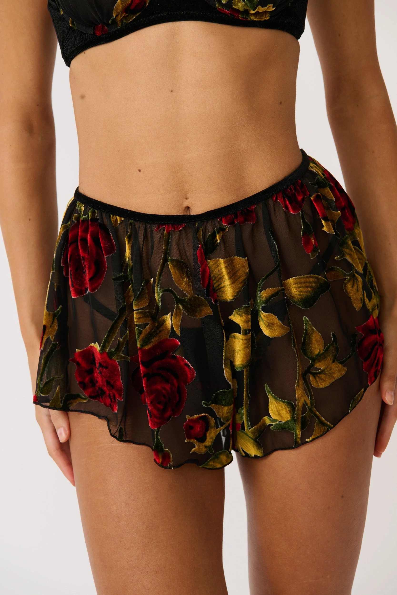 Violet Short Velvet Rose - Image 5
